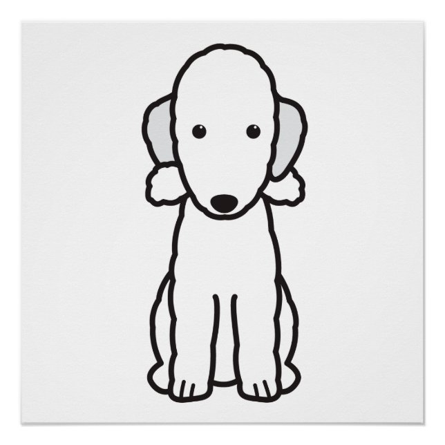 Poster Dessin de Bedlington Terrier Dog (Devant)