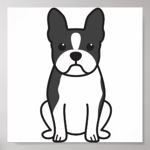 Poster Dessin de Boston Terrier Dog