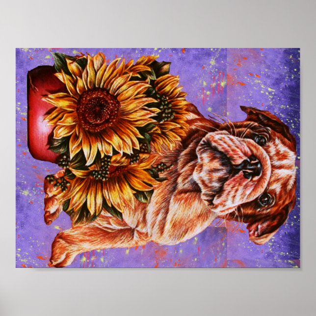 Poster Dessin de Bulldog Tournesol sur peinture violette (Devant)
