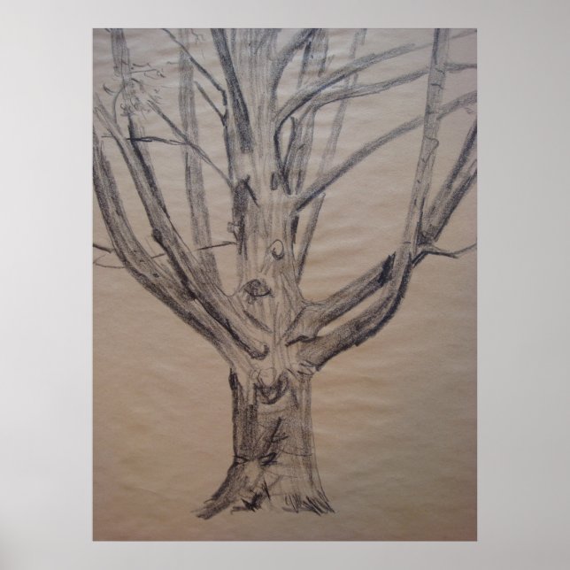 Poster Dessin de charbon de bois d'un arbre (Devant)