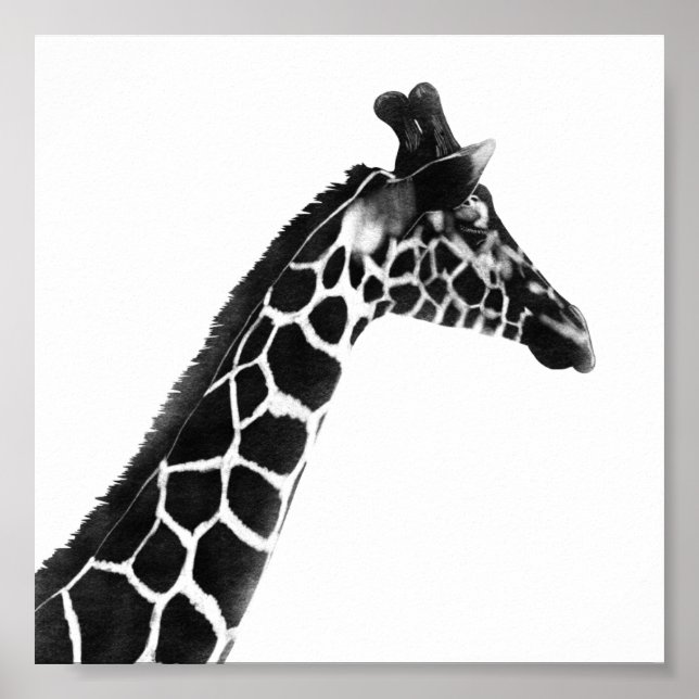 Poster Dessin de charbon de bois Giraffe (Devant)