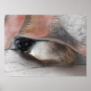 Poster Dessin de chaton siamois mignon sous une couvertur
