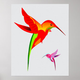 Poster Dessin de colibri coloré