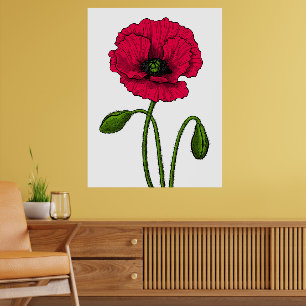 Poster Dessin de coquelicot rouge