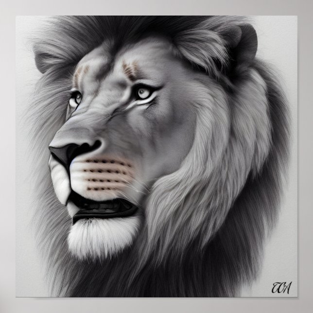 Poster Dessin de crayon majestueux d'un lion (Devant)