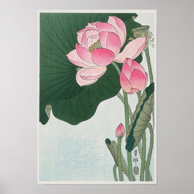 Poster Dessin de fleurs de lotus vintages (Devant)