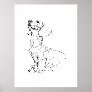 Poster Dessin de joli teckel, parent de chien