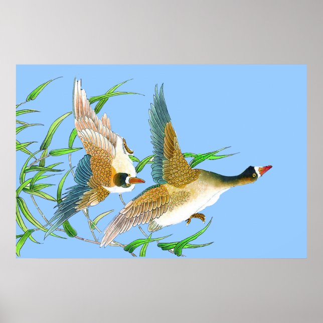 Poster Dessin de l'affiche Flying Ducks (Devant)