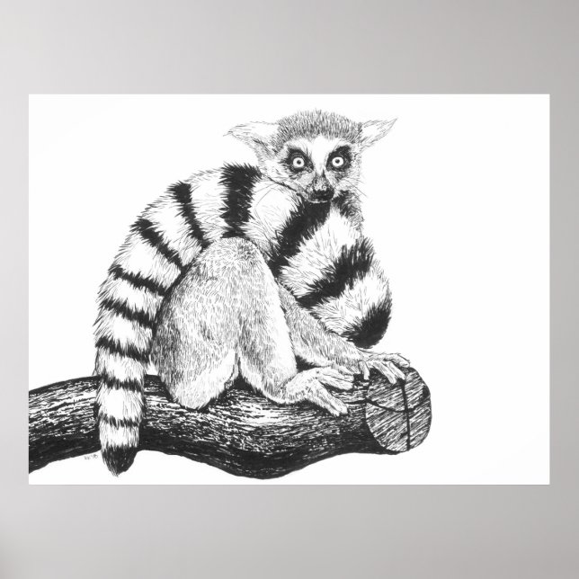 Poster Dessin de lémurien (Devant)