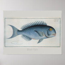 Dessin de poisson bleu Vintage