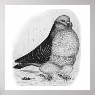 Poster Dessin d'encre de chou chinois