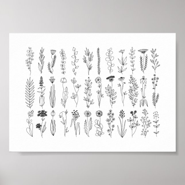 Poster Dessin D'Encre Fleurs Et Herbes (Devant)