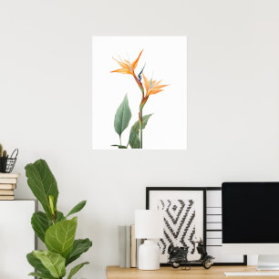 Poster Dessin d'oiseau de paradis (fleur)