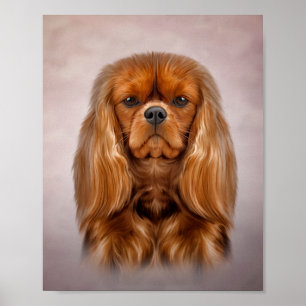 Poster Dessin du chien Cavalier le roi Charles Spaniel