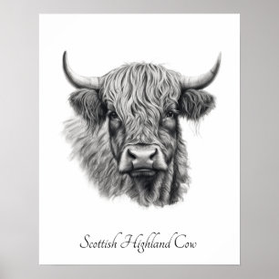 Poster Dessin encadré de vache des Highlands écossais ave