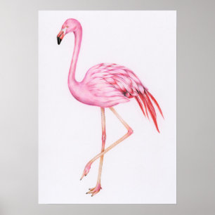 Poster Dessin Flamant rose mignon