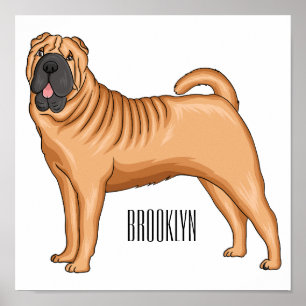 Poster dessin humoristique chinois de chien Shar-Pei