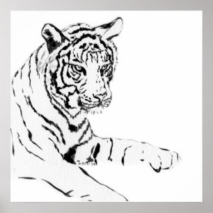 Poster Dessin noir et blanc sur tigre
