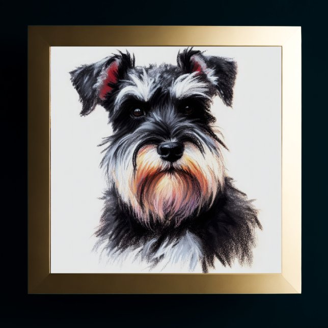 Poster Dessin Pastel d'un Schnauzer Chien II (Créateur téléchargé)