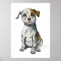 Dessin Pit Bull Puppy