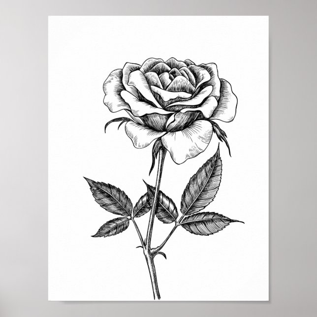 Poster dessin rose (Devant)
