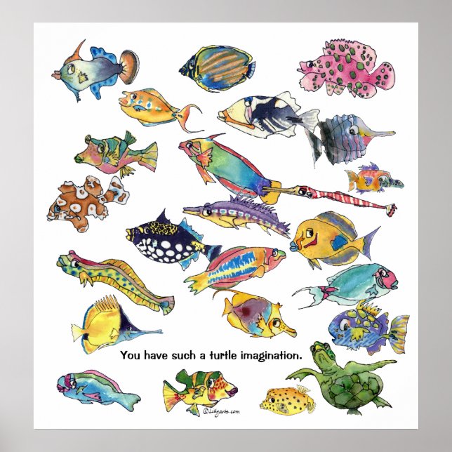 Poster Dessin sur la tortue (Devant)