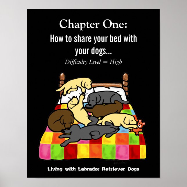 Poster Dessin sur la vie avec les labradors (Devant)