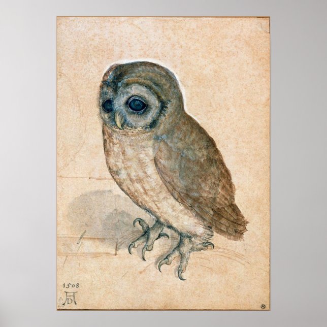 POSTER DESSINS ANIMAUX DE RENAISSANCE / LE BOULE (Devant)