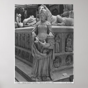 Poster Détail de la force