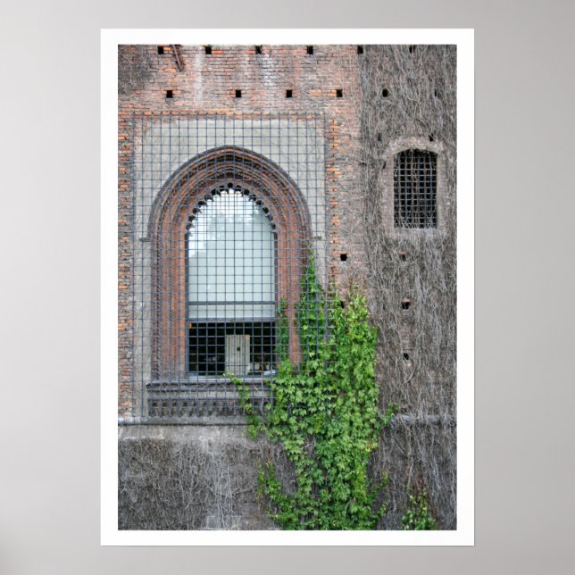 Poster Détails de la fenêtre Sforza (Devant)