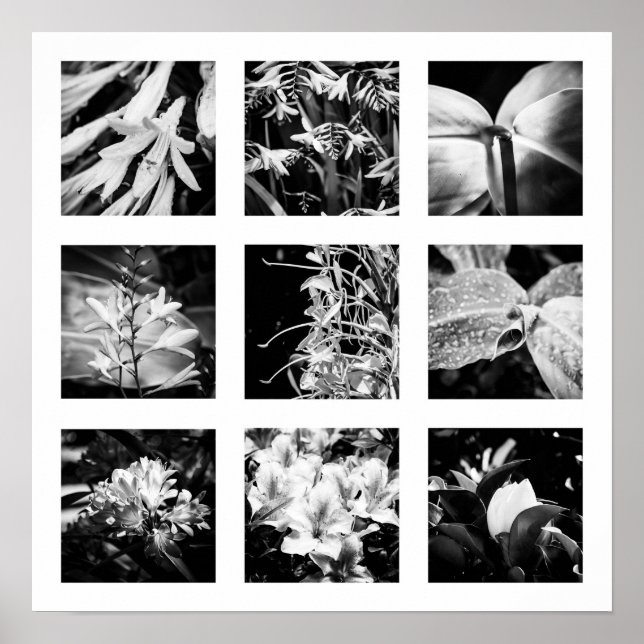 Poster Détails de la série Nature - Fleurs 2 (Devant)