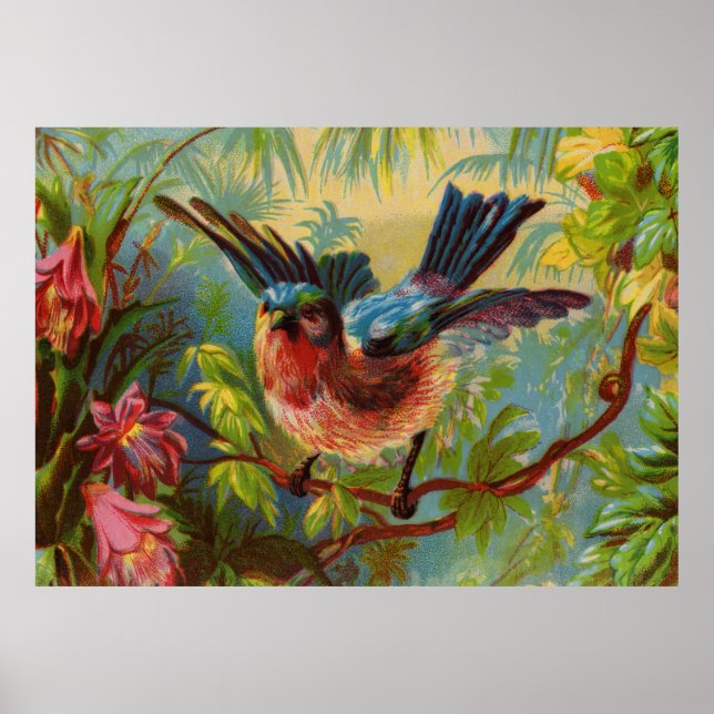 Poster d'été Bluebird (Devant)