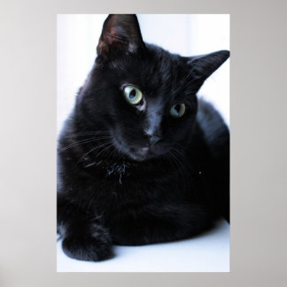 Poster Détente