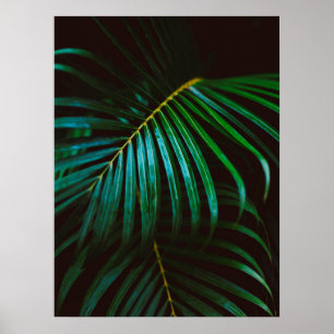 Poster Détente en feuille de palmier tropicale de vert