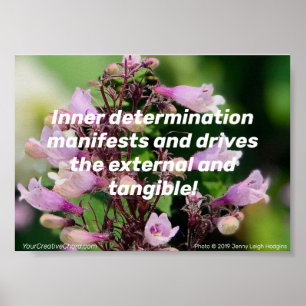 Poster Détermination Intérieure/Floraison Violette. Affic