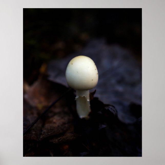 Poster Détruire le champignon Casquette de l'ange mort (Devant)