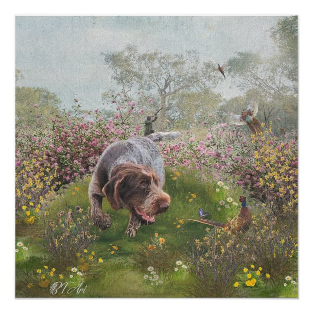 Poster Deutsch Drahthaar (Devant)