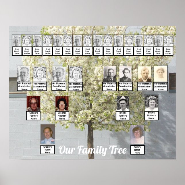 Poster Deux arbres de la famille fleurissent Photo | Post (Devant)