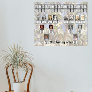 Poster Deux Arbres Généalogiques sur Photo de Fleurs Blan