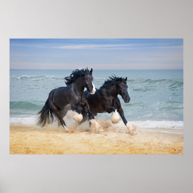 Poster Deux Beaux Chevaux De Rivière Sur La Plage (Devant)