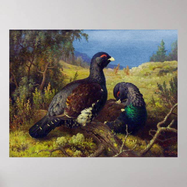 Poster Deux beaux oiseaux (Devant)