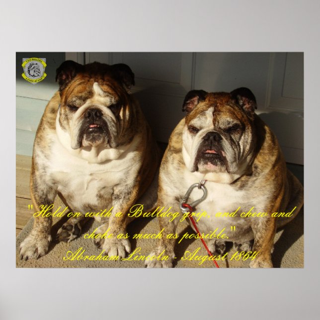 Poster Deux Bulldog 1864 Lincoln Citation fine toile (Devant)