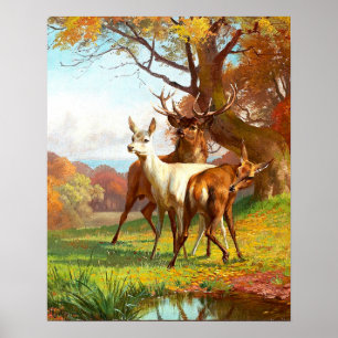 Poster Deux Cerfs Rouges Et Blancs Dans La Forêt
