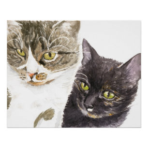 Poster Deux chats - tabby et tortie