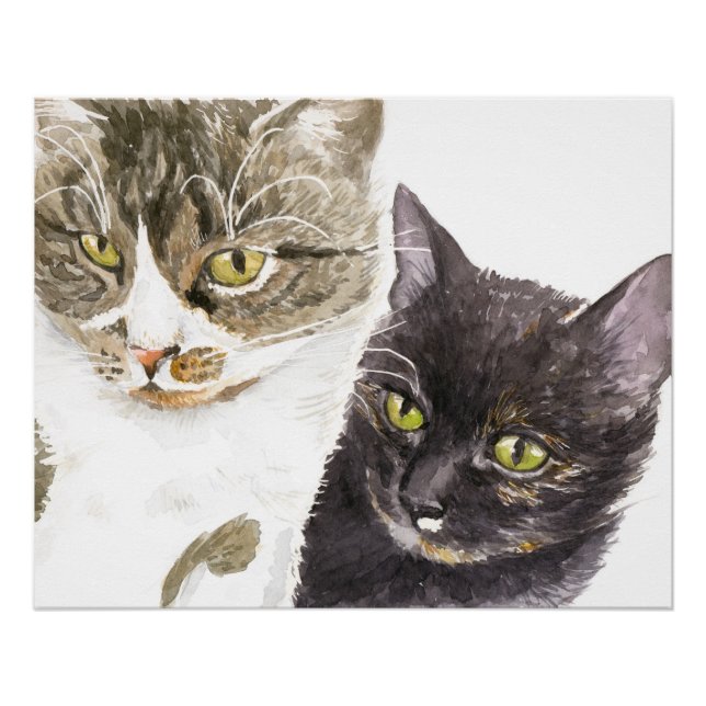 Poster Deux chats - tabby et tortie (Devant)