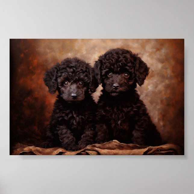 Poster Deux chiots noirs de Poodle (Devant)