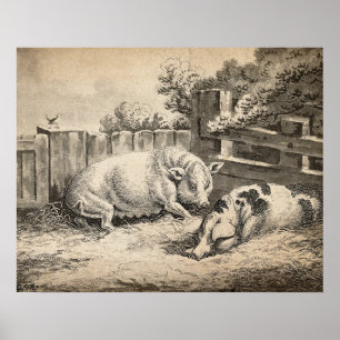 Poster Deux cochons couchés dans la paille dans un stylo 