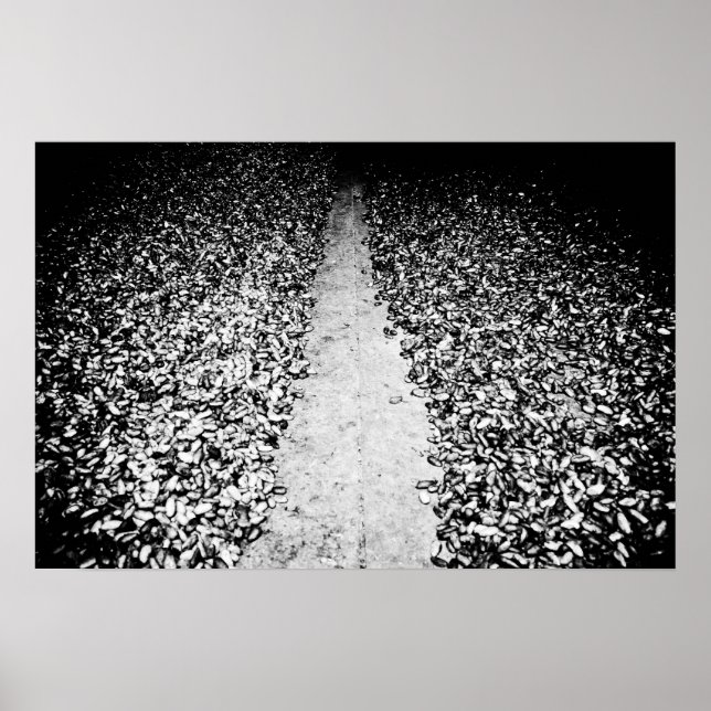 Poster deux côtés du cacao (Devant)