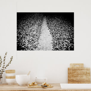 Poster deux côtés du cacao