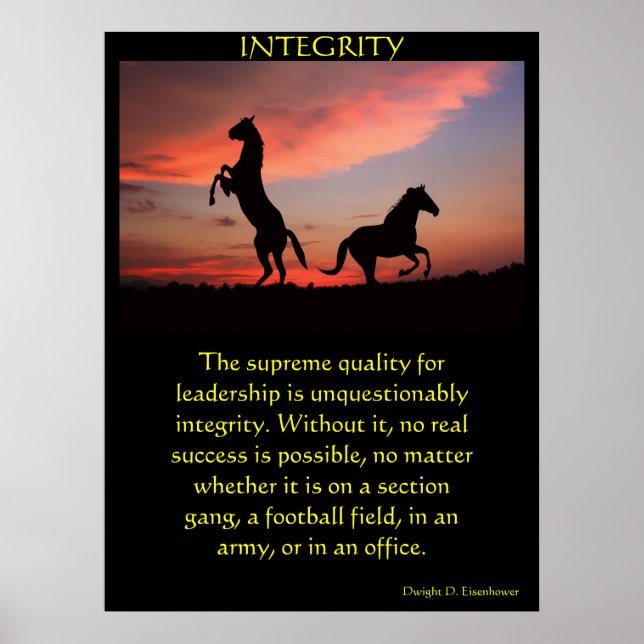 Poster Deux étalons noirs en silhouette (Devant)